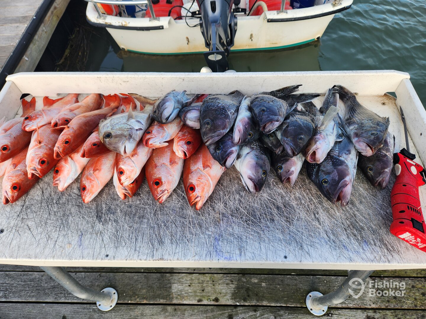 Folly Beach Report Photo 0