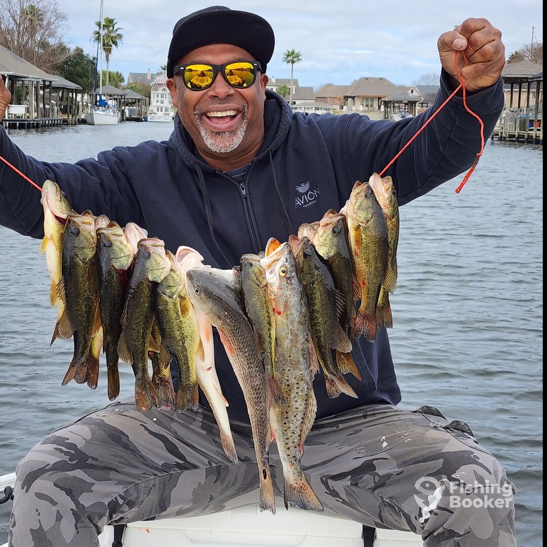 New Orleans Report Photo 0