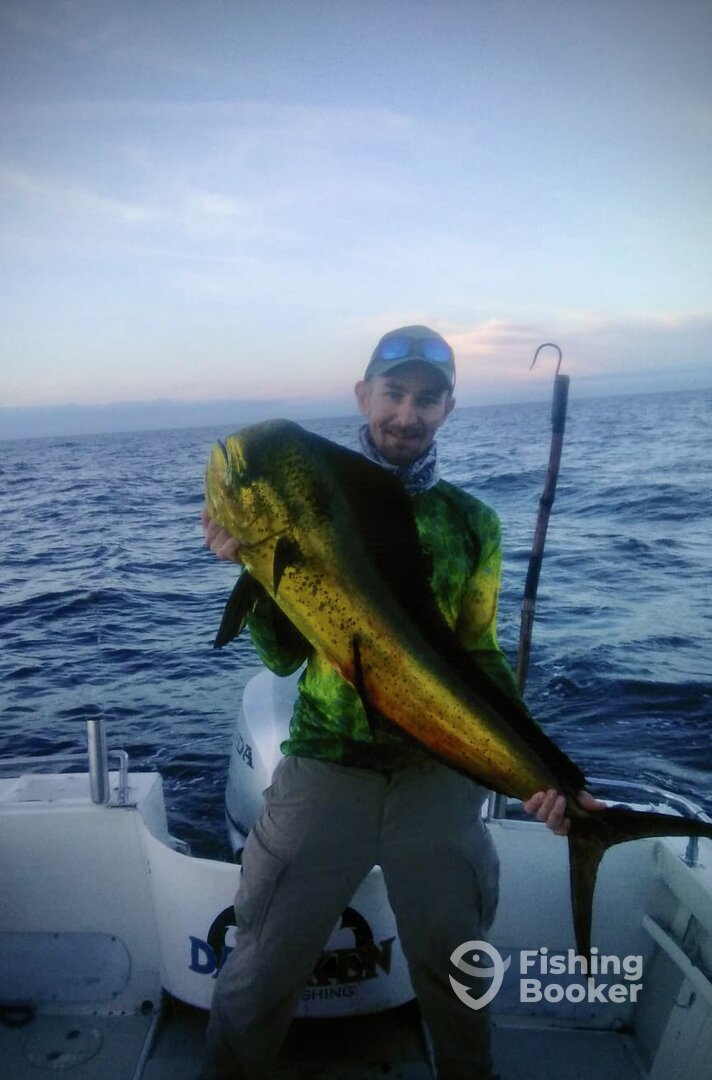 San Jose del Cabo Report Photo 0