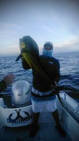 San Jose del Cabo Report Photo 2