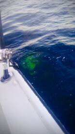 San Jose del Cabo Report Photo 1
