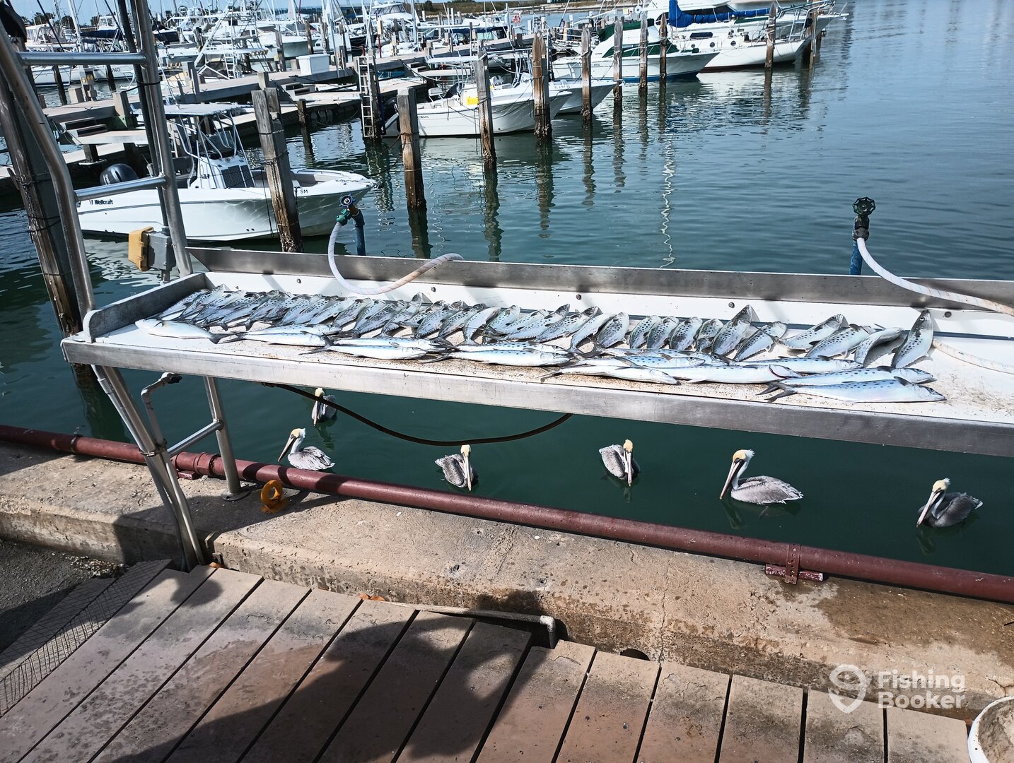 Port Canaveral Report Photo 0