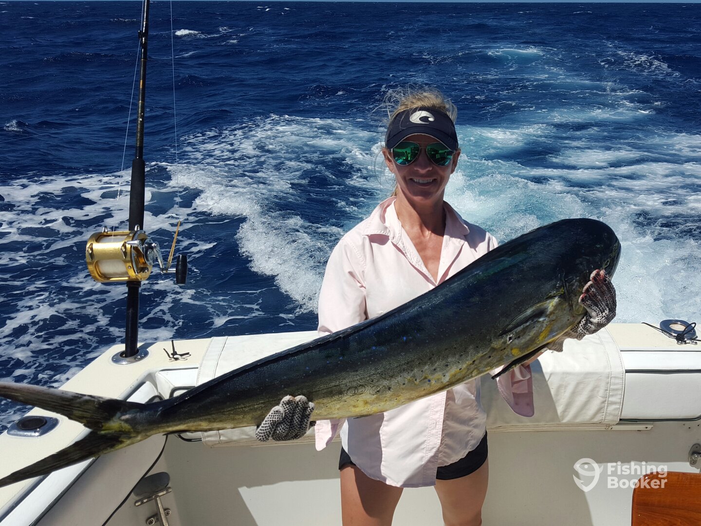 Cabo San Lucas Report Photo 0