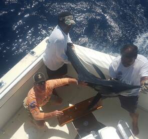 Cabo San Lucas Report Photo 2