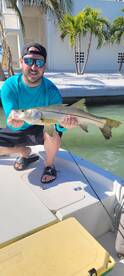 Bonita Springs Report Photo 2