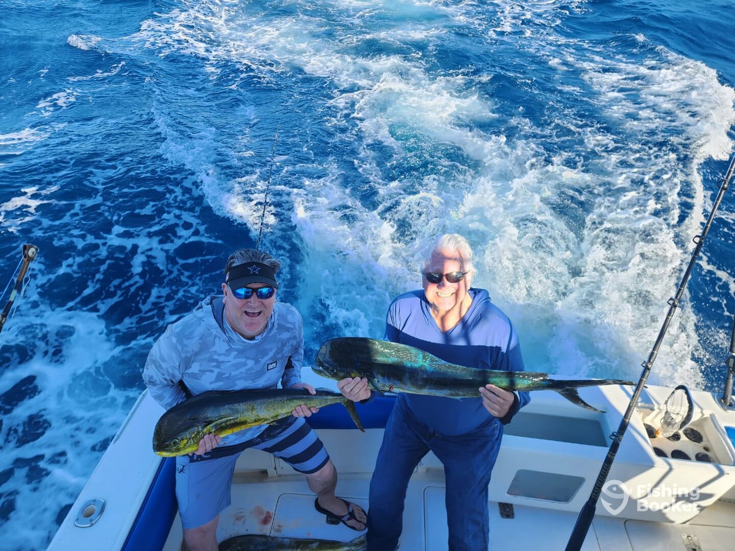 Cabo San Lucas Report Photo 0