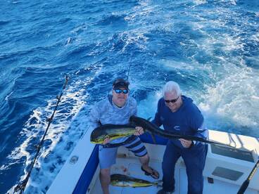 Cabo San Lucas Report Photo 2