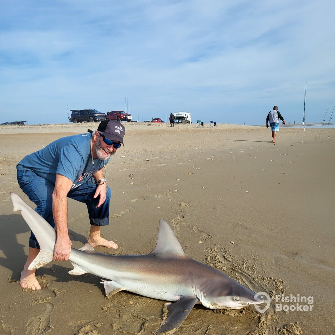 Manteo Report Photo 0