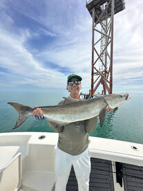 Cobia, Barracuds, Sharks,