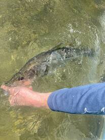 1/20/23 Half day in Islamorada