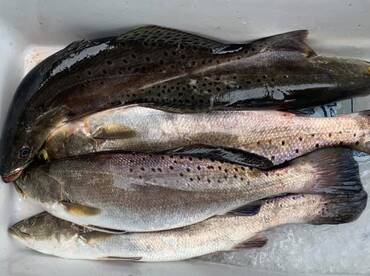 East Bay Report 1/22/2023