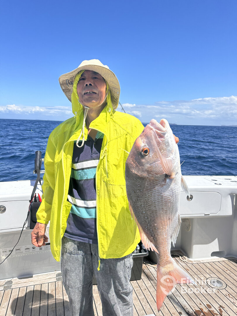 Auckland Report Photo 0