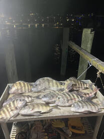 Tequesta Report Photo 1