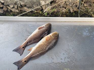 Water is cool and the tides are low! Cre