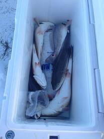 Port O'Connor Report Photo 1