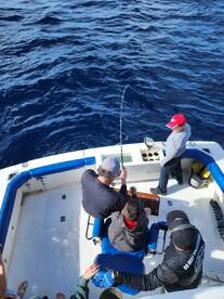 Cabo San Lucas Report Photo 2