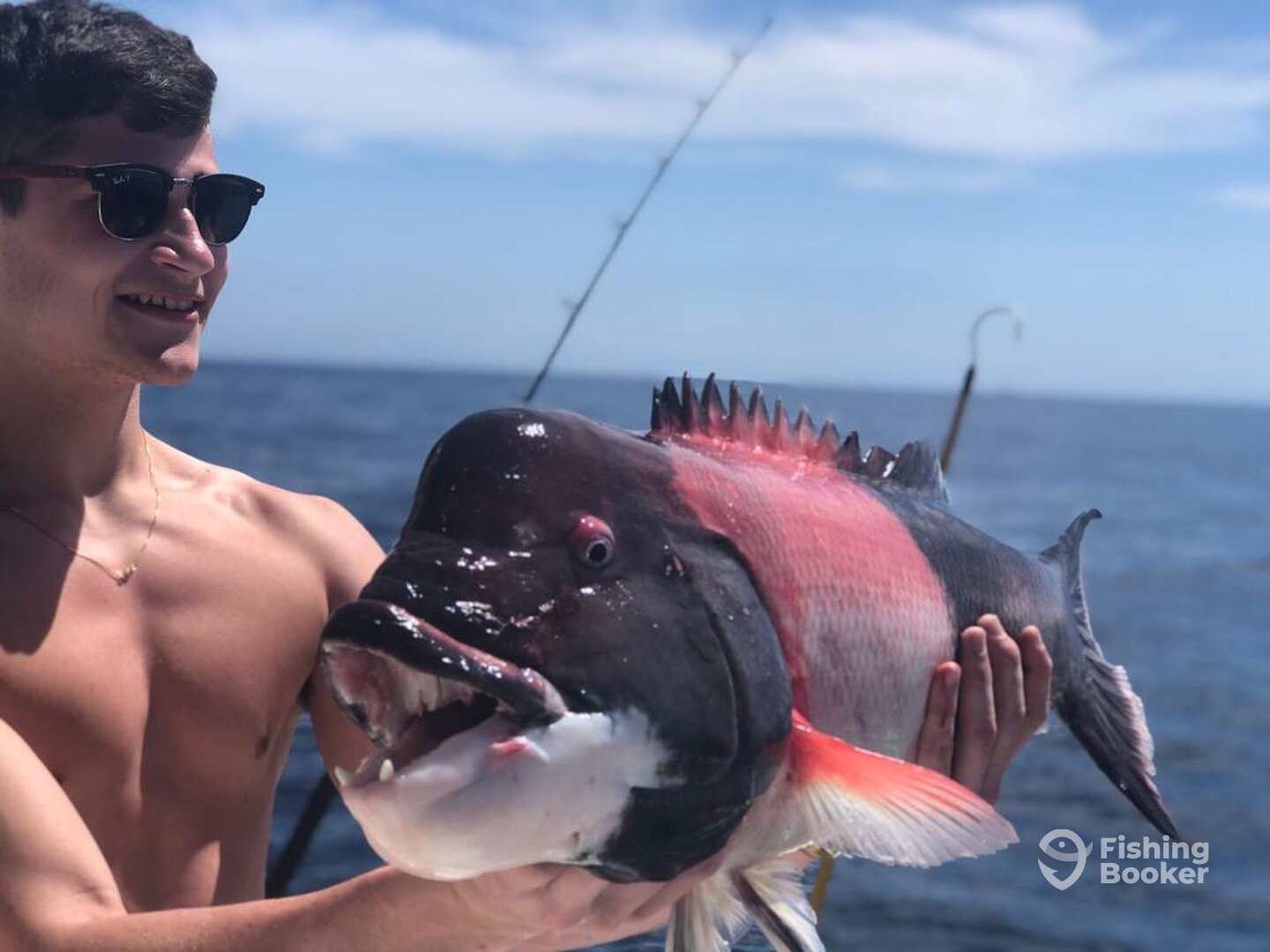 Cabo San Lucas Report Photo 0
