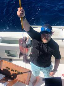 Cabo San Lucas Report Photo 1