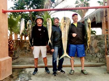 San Jose del Cabo Report Photo 1