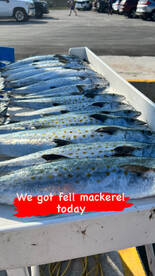 For the people who likes a fun and delic