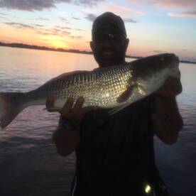 Sarasota Report Photo 2