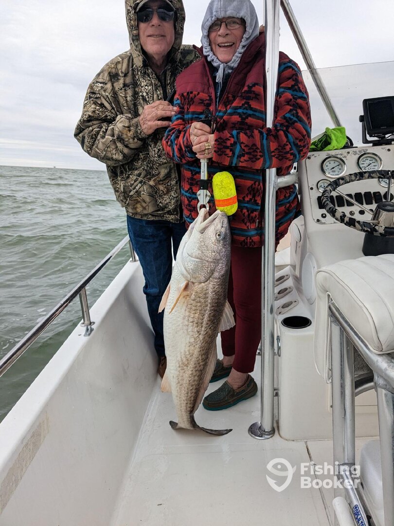 Galveston Report Photo 0