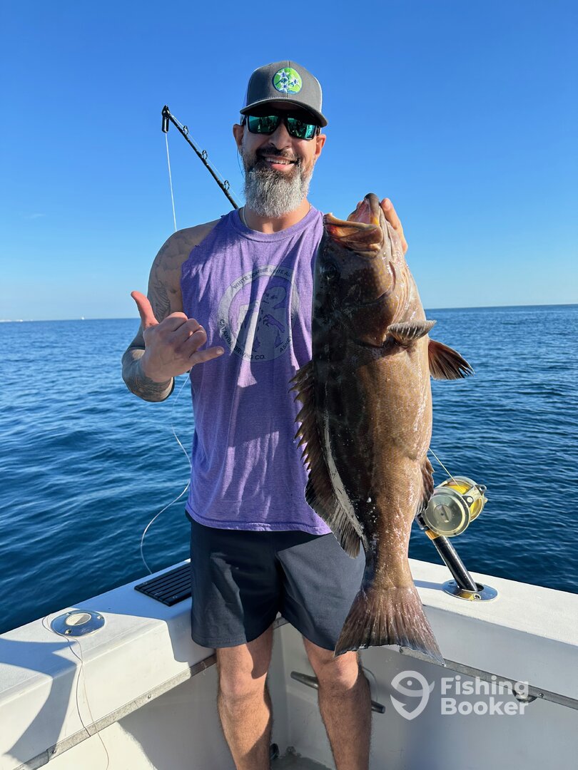 Dania Beach Report Photo 0