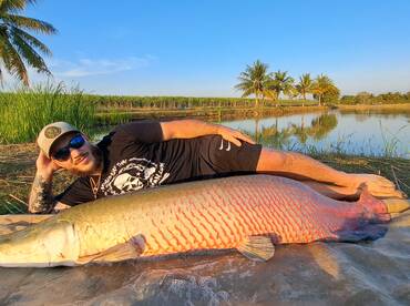 Arapaima Pirarucu Big Fish Dream Fish  F