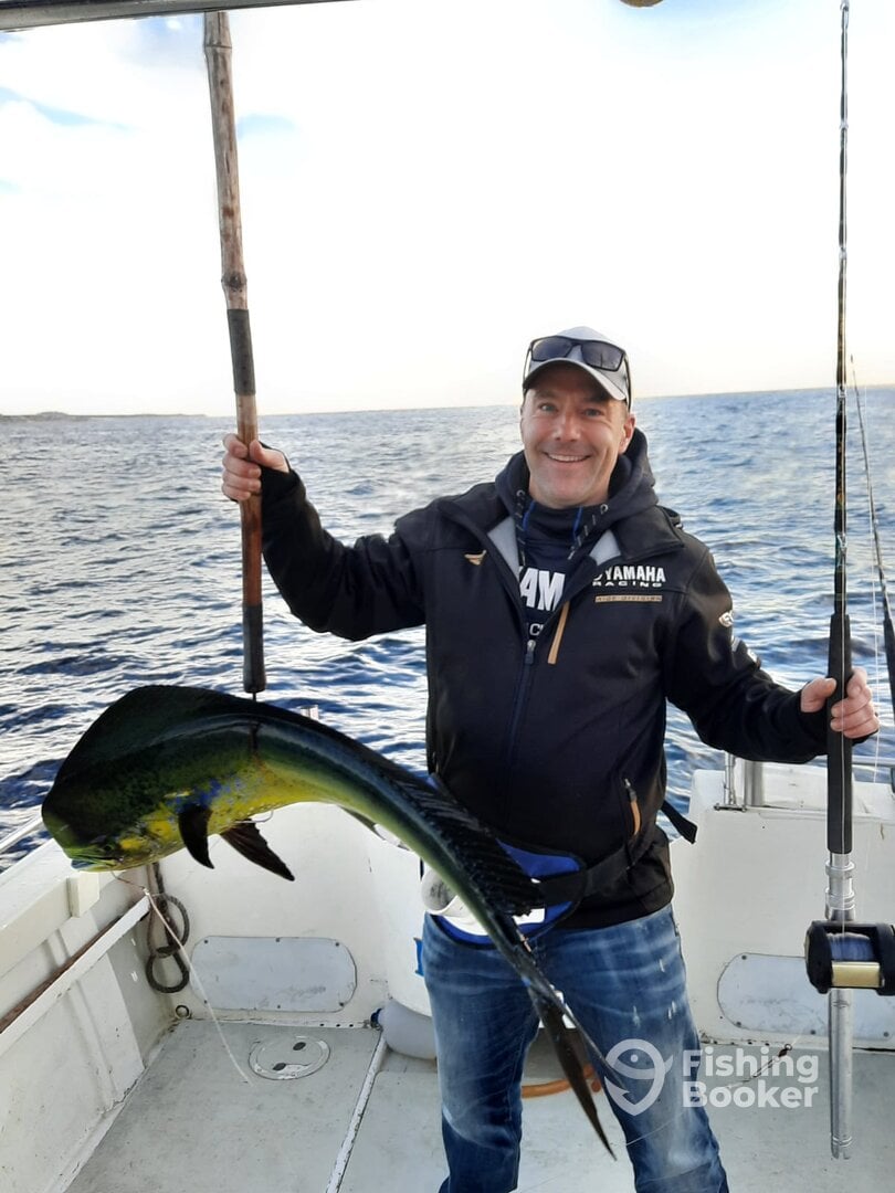 San Jose del Cabo Report Photo 0