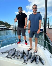 Albacore and Whale Sharks day