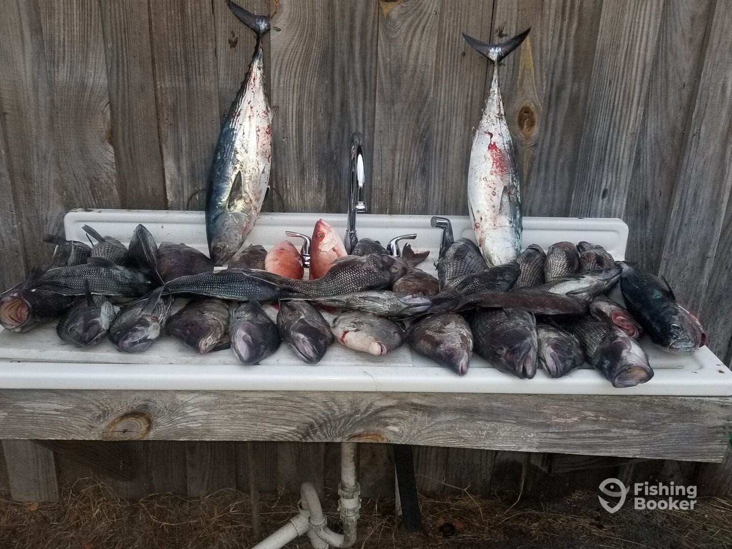 Little River Report Photo 0