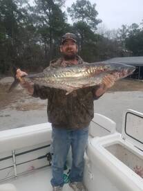 Little River Report Photo 2