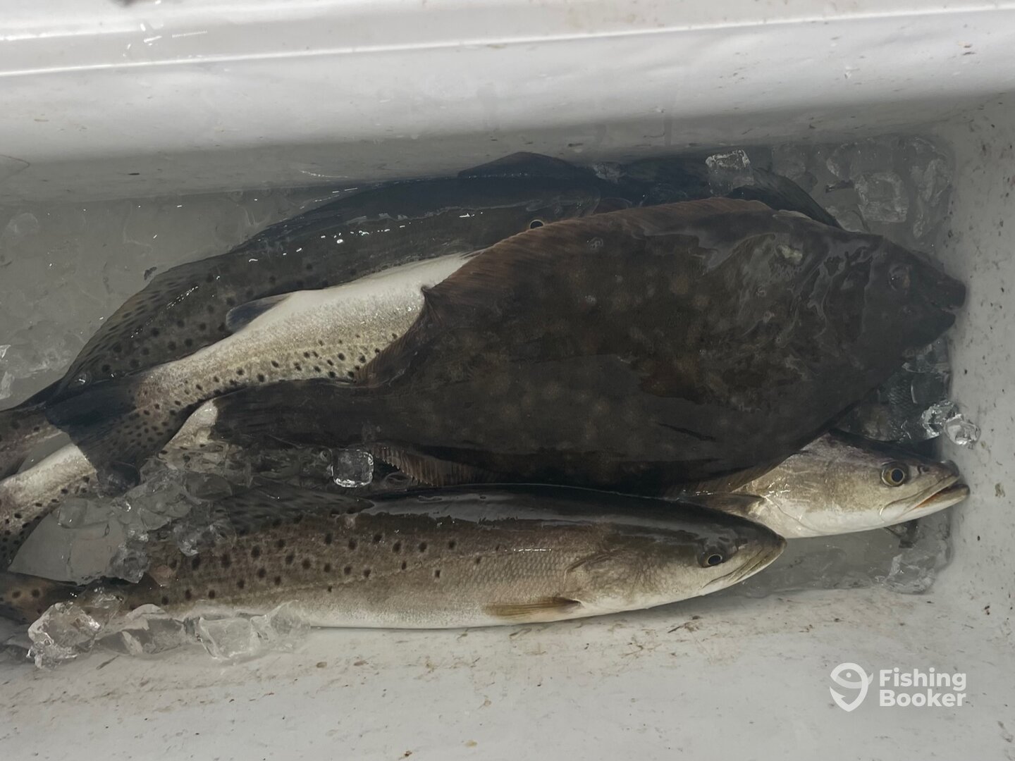 Bolivar Peninsula Report Photo 0