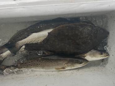 Galveston East Bay 1/28/23