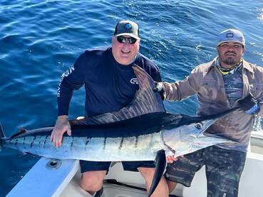 Cabo San Lucas Report Photo 2