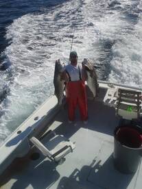 Montauk Report Photo 2