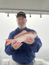 Palm Coast Report Photo 1