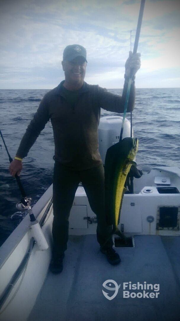 San Jose del Cabo Report Photo 0