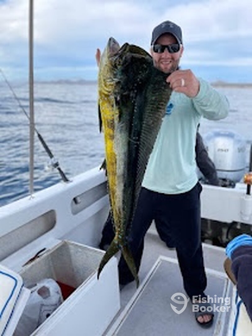 San Jose del Cabo Report Photo 0