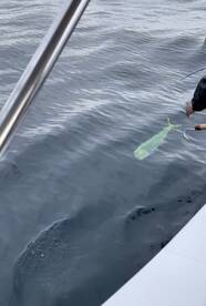 San Jose del Cabo Report Photo 1