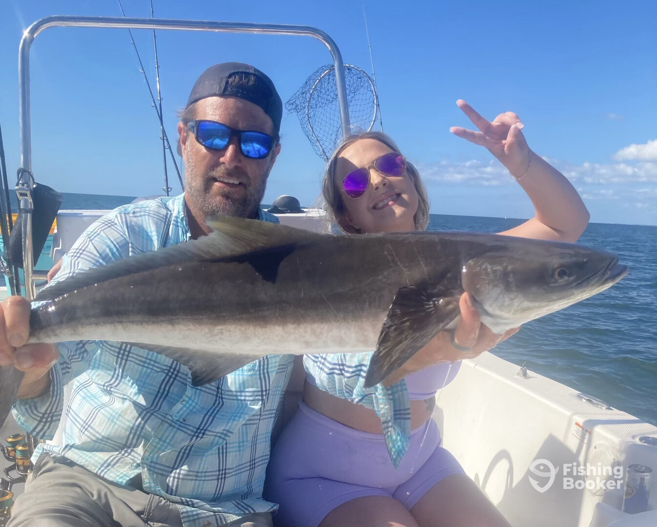 Sarasota Report Photo 0