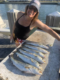 Sarasota Report Photo 2