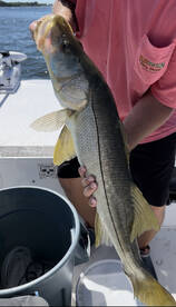 Ft Lauderdale Inshore Fishing Report feb