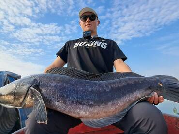 Massive Snakehead Landed in Thailand - B