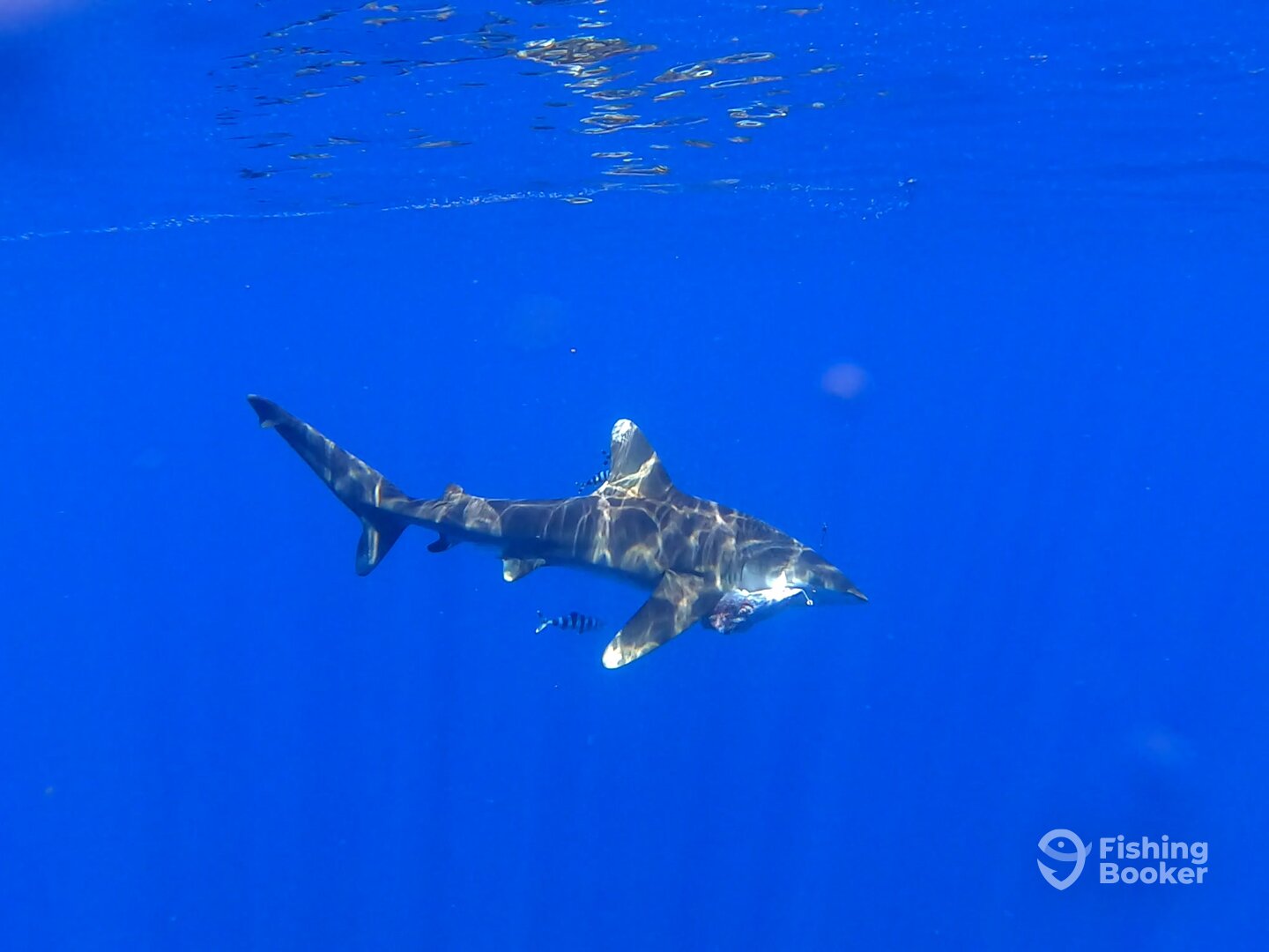 Le Morne Report Photo 0
