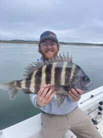The sheepshead are biting 