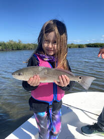 New Smyrna Beach Report Photo 1