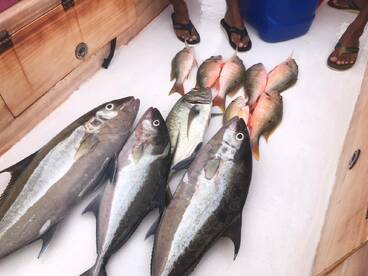 a day with some light jigging 