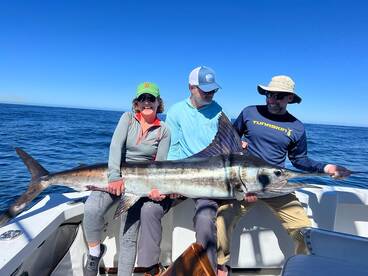 Fin Chaser Cabo 2/06 Fishing report