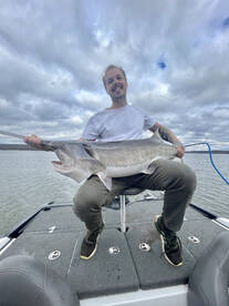 ‼️‼️PADDLEFISH‼️‼️